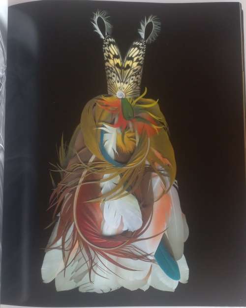 Fairie-ality style, a sourcebook of inspirations from nature