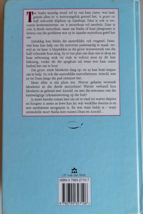 Huis met baie vensters deur Rika du Plessis