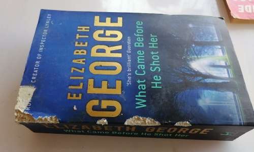 What came before he shot her by Elizabeth George