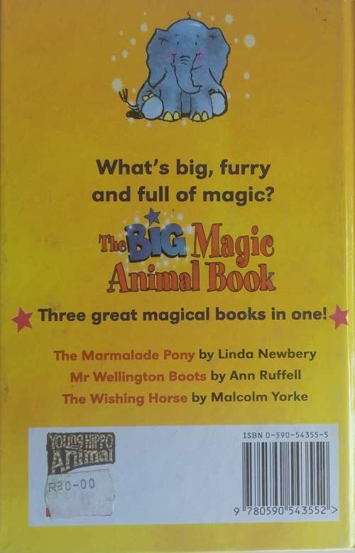 The big magic animal book