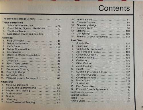 The scout trail (boy scouts)