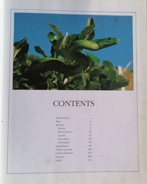 Everyone`s guide to snakes of Southern Africa by Bill Branch