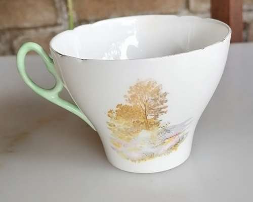 Shelley fine bone china cup England