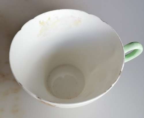 Shelley fine bone china cup England