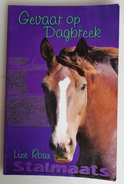 Stalmaats: Gevaar op dagbreek deur Lize Roux