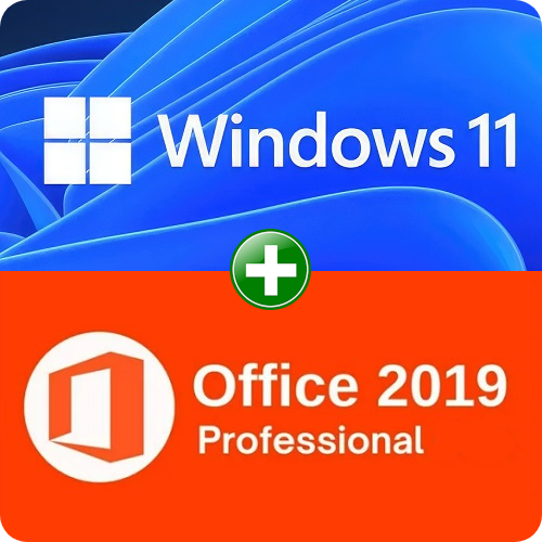 Office 2019 Professional + Windows 11 Pro