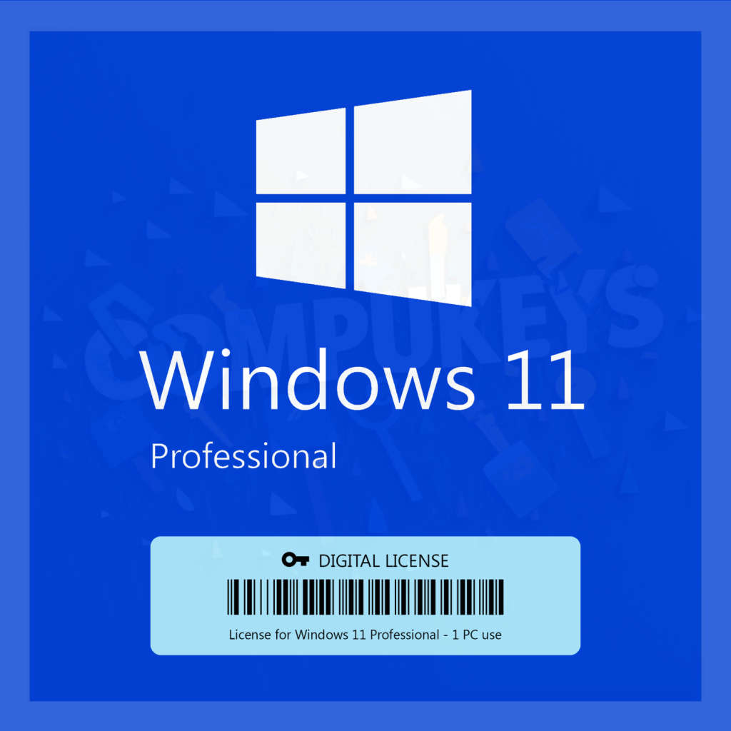 Windows 11 Professional