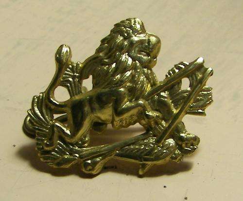 RHODESIAN-BRITISH SOUTH AFRICAN POLICE~BSAP~ANODISED STAYBRIGHT COLLAR BADGE~1970's