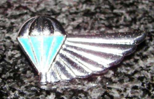 **REDUCED**SADF~AIR SUPPLY WINGS~CHROME WINGS~2 PINS~1970's.
