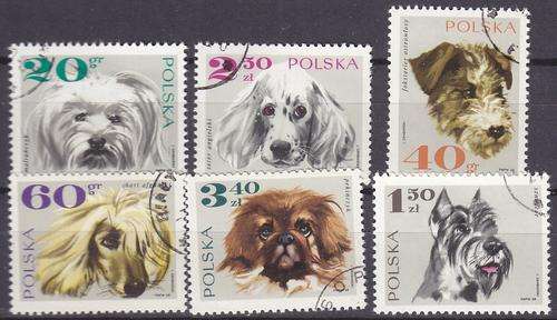6 BEAUTIFUL THEMATIC STAMPS - DOGS - POLAND