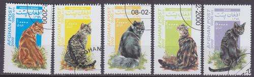 5 BEAUTIFUL THEMATIC STAMPS - CATS - AFGHANISTAN