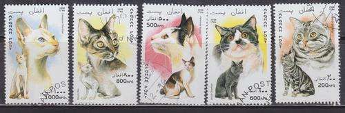 5 BEAUTIFUL THEMATIC STAMPS - CATS  - AFGHANISTAN
