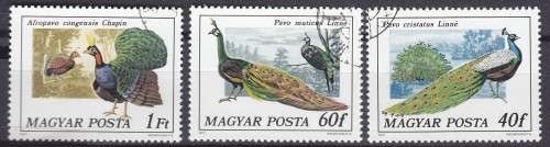 3 BEAUTIFUL THEMATIC STAMPS - BIRDS - HUNGARY