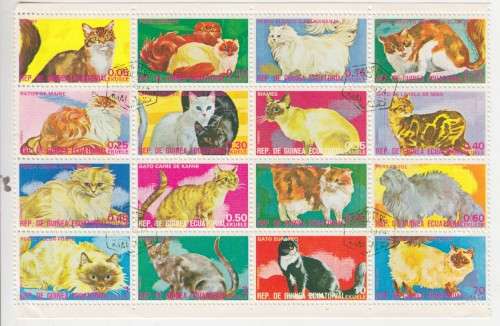 BEAUTIFUL THEMATIC  MINISHEET  - CATS - EQUATORIAL GUINEA
