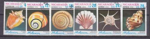 6 BEAUTIFUL THEMATIC STAMPS - MARINE LIFE - SHELLS - NICARAGUA