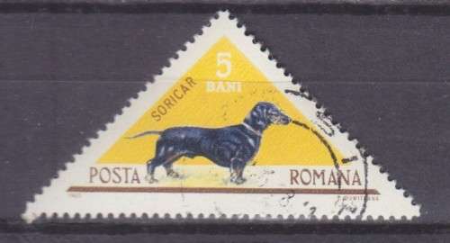 BEAUTIFUL THEMATIC STAMPS - DOGS - ROMANIA