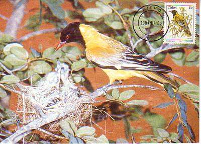 1984 CISKEI  - BIRD - MAXICARD