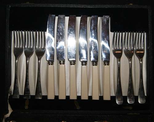 24 Piece Cutlery Set with Bone - Handled Knives