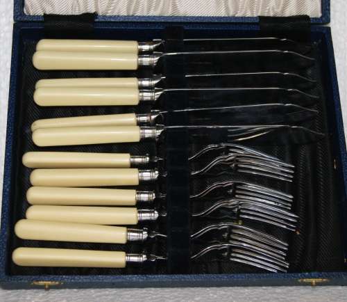 Vintage Bone Handled Fish Set @@@ CCCRRRAAAZZZYYY R1 START!!!