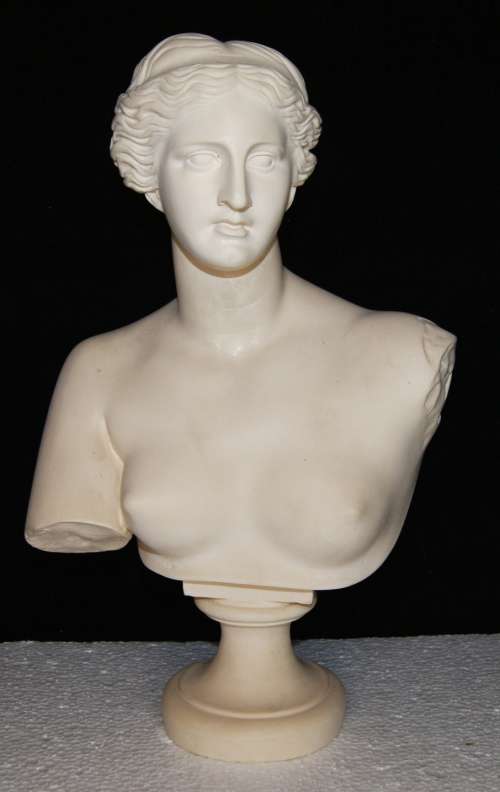 Composite Material `Venus De Milo` Bust