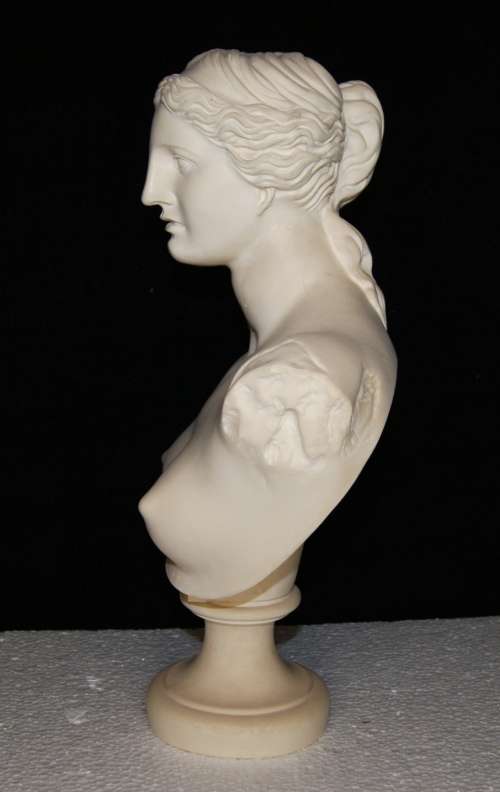Composite Material `Venus De Milo` Bust