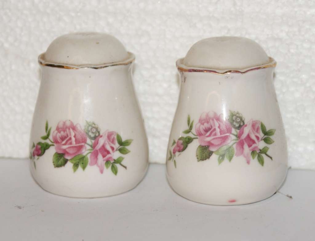 Porcelain Salt and Pepper Shaker Set @@@ CCCRRRAAAZZZYYY R1 START