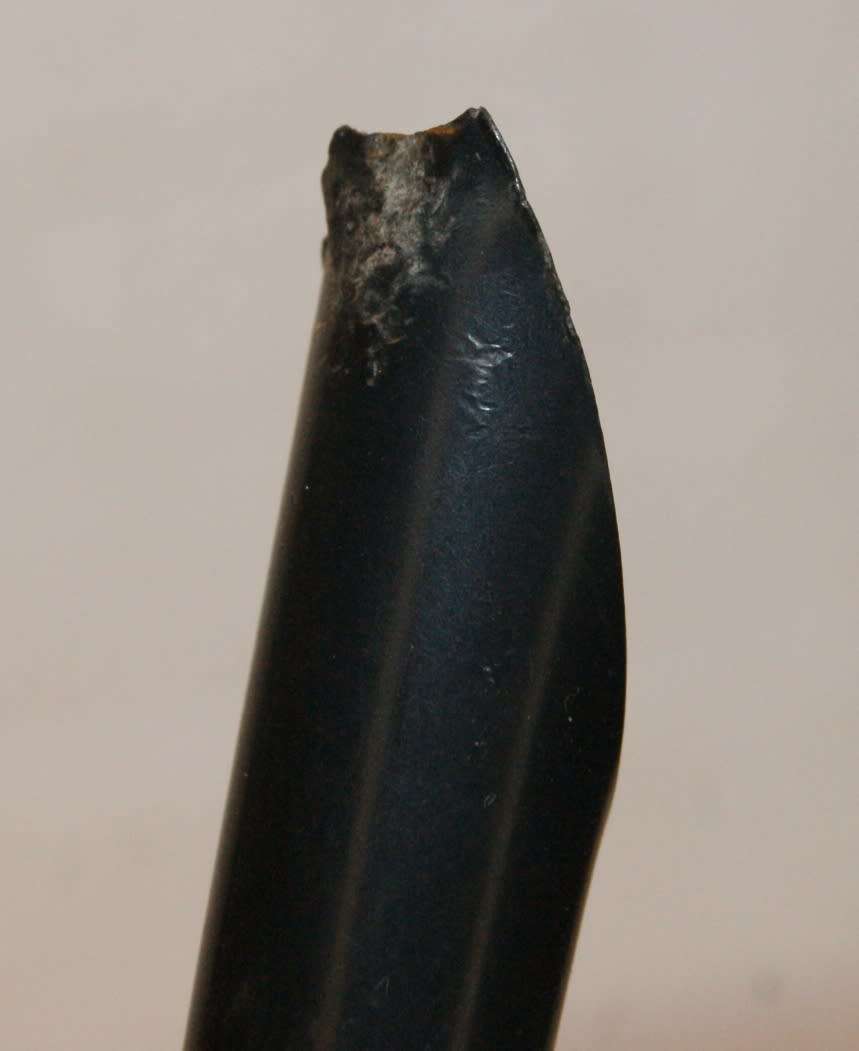 Kruger Park Souvenir Copper Pen Stand @@@ CCCRRRAAAZZZYYY R1 START