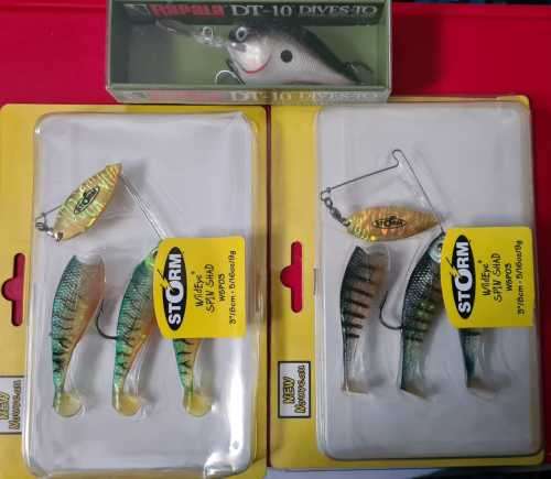 HOT!!! Lured into fishing WITH A FREE REEL