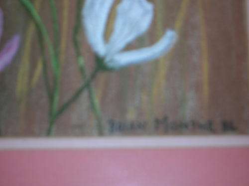 Lovely Charcoal painting of Cosmos, under glass