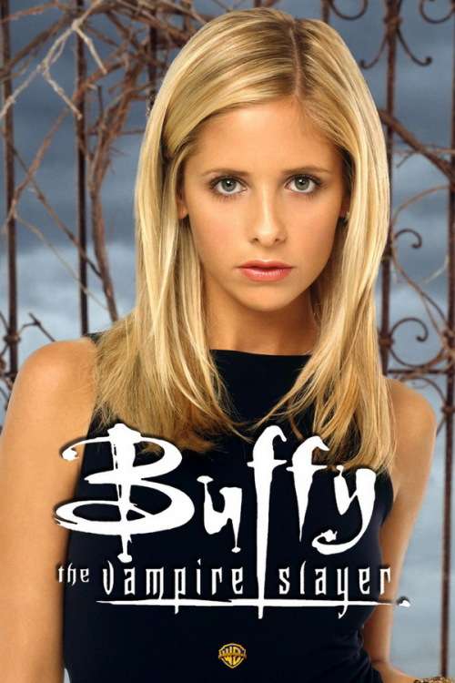 Buffy the Vampire Slayer The Complete DVD Collection (Used) - 144 Episodes - 108 Hours Entertainment