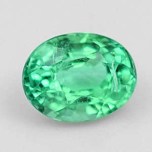 0.49 Ct. Natural Green TOURMALINE Oval Cut - R1 START!!!-
