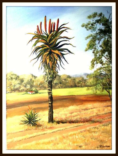 " Aloe Road "  Original signed acrylic by Reel Fincham