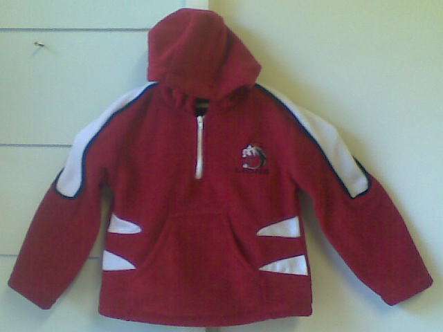 Lions Polarfleece Top