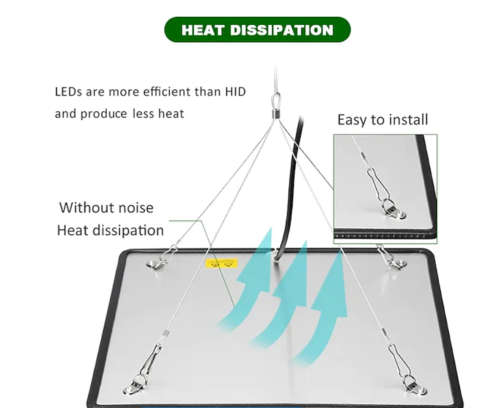 600w Plant Growing LED Light