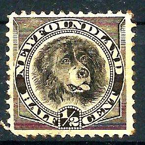 NEWFOUNDLAND 1894 M/MINT BEAUTIFUL STAMP