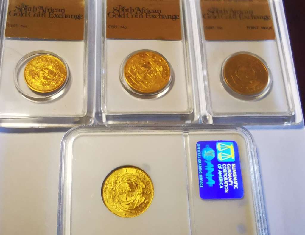 1894, 1895, 1896 GOLD POND, 1895 GOLD HALFPOND