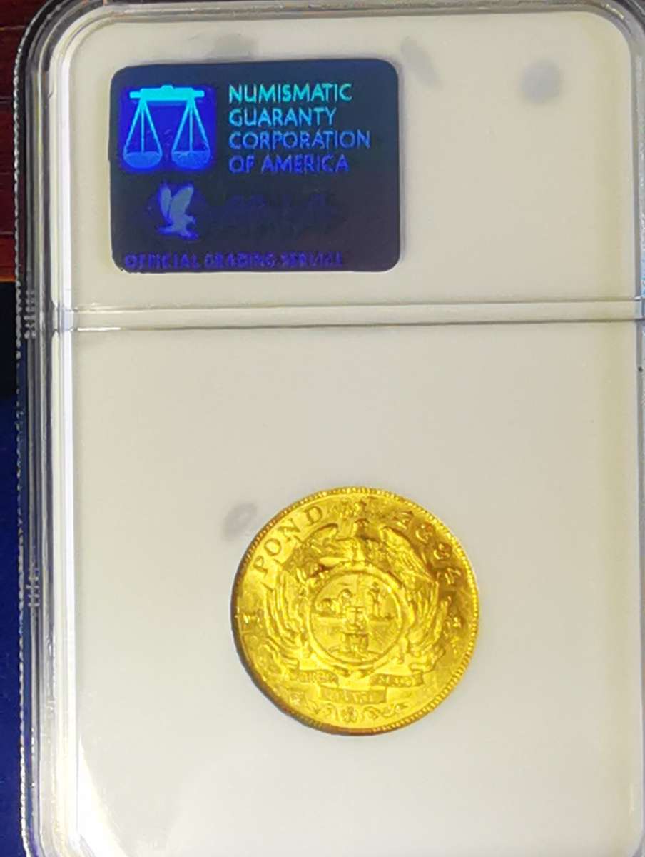 1894 ZAR Gold SINGLE SHAFT POND