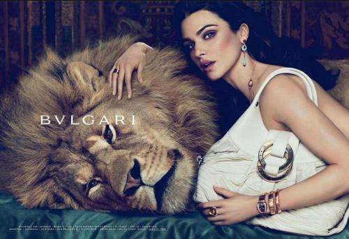 Bvlgari Jasmin Noir 50ml EDP