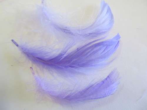 Poultry Feathers Purple 50mm - 80mm