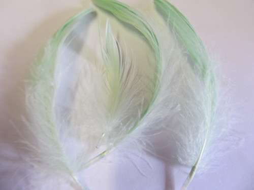 Poultry Feathers Pastel Green 50mm - 80mm