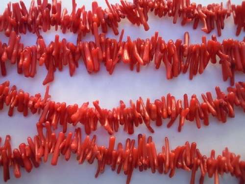Beading, Pearls And Charms, Coral Sticks, Red, ±12mm, String - 40cm