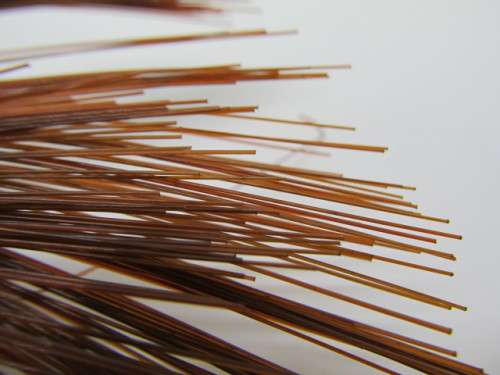 Stringing Material Gut Brown 60cm Per Pc - 10pc