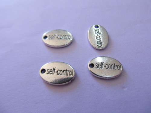 Charms Oval Disc Self Control Stamped On Disc 14mm x 10mm Nickel