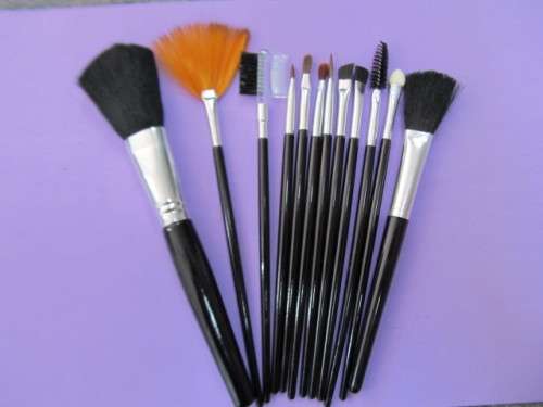 Makeup Set, 12 Pcs Brushes For Different Applications With Black Folding Bag