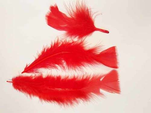 Feathers, Poultry Feathers, Red, 70mm - 140mm, 4pc