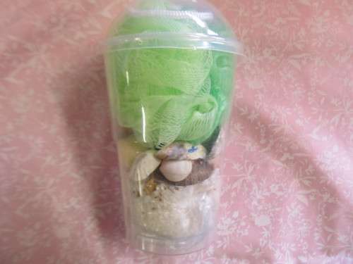 Mesh Bath Sponge Bath Salt Soap And Seashells, Green, 1 Set