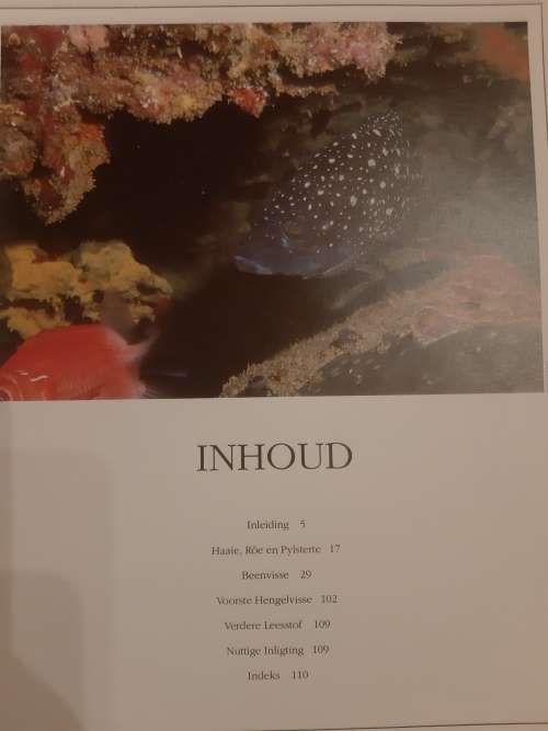 n Gids tot Seevisse van Suider-Afrika deur Rudy van der Elst (1990)