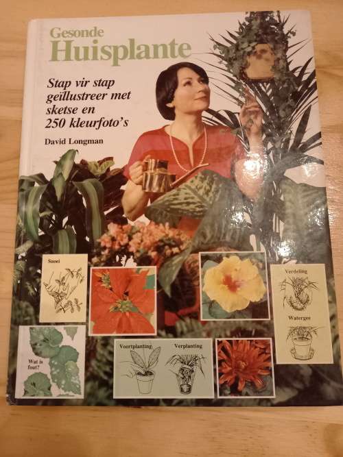 Gesonde Huisplante deur David Longman