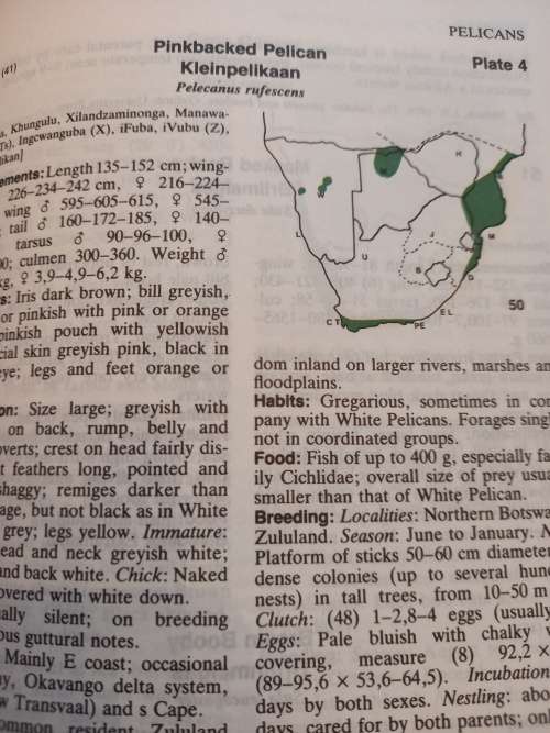 Roberts` Birds of Southern Africa 6th edition By Gordon Lindsay Maclean (2nd impression 1996)