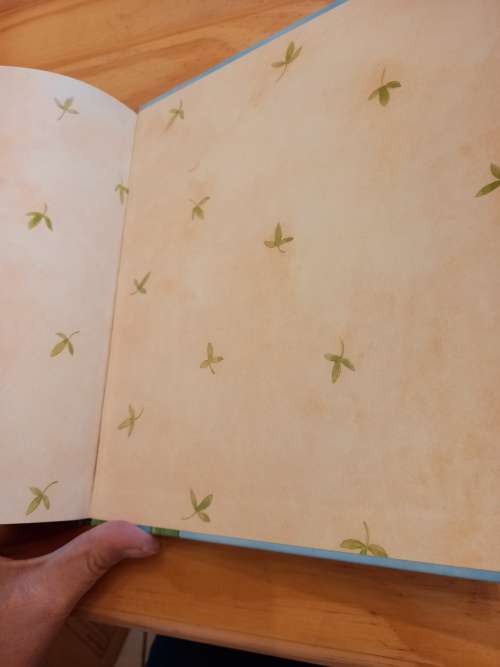 Klein Grillie Spinnekop - Kom, ons speel skool deur Diana Amft 2019